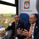 La storia e lo sviluppo