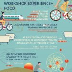 Bike Excursion + workshop experience + food