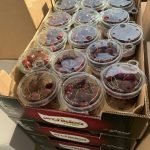 G20, TRENO SPECIALE FAL BARI – MATERA: LE FOTO FAL